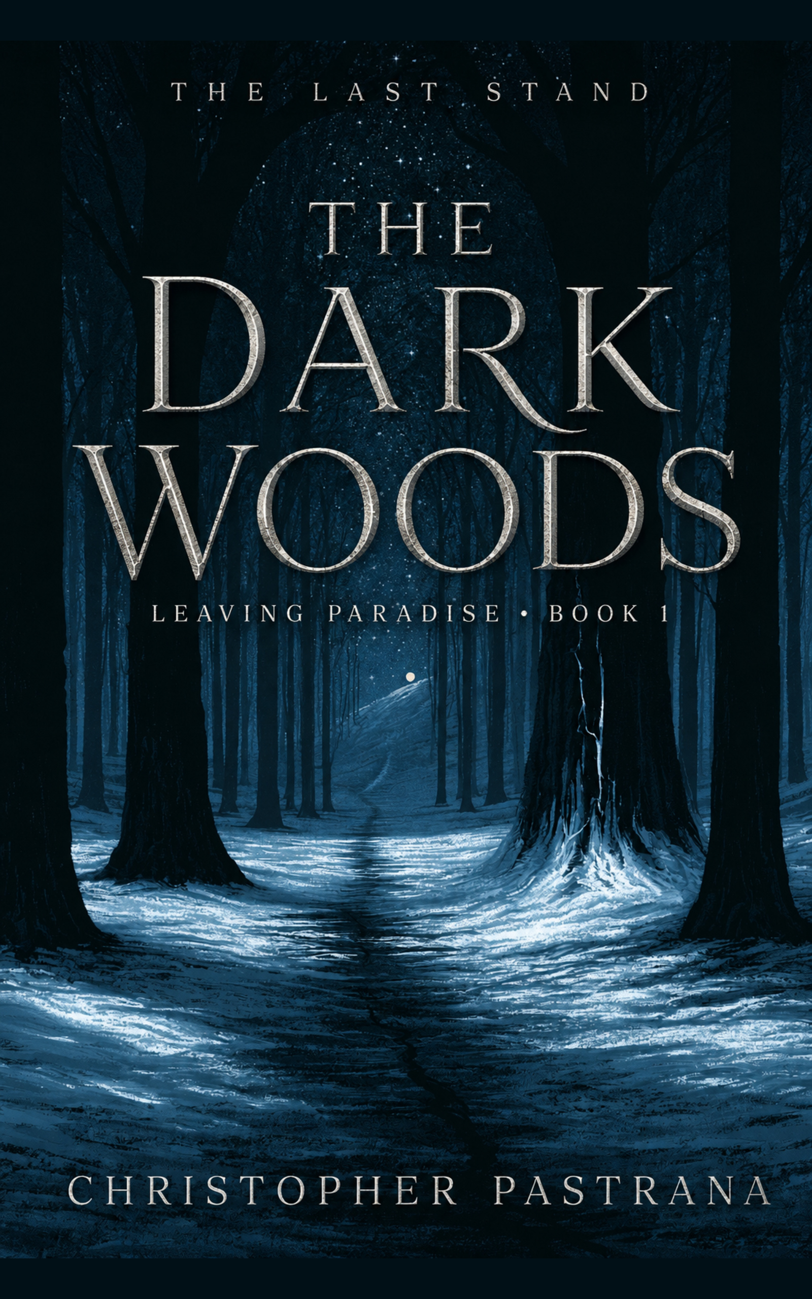 The Dark Woods cover